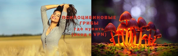 мескалин Алексин