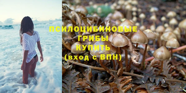 соль курить ск Алзамай