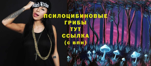 дмт Покачи