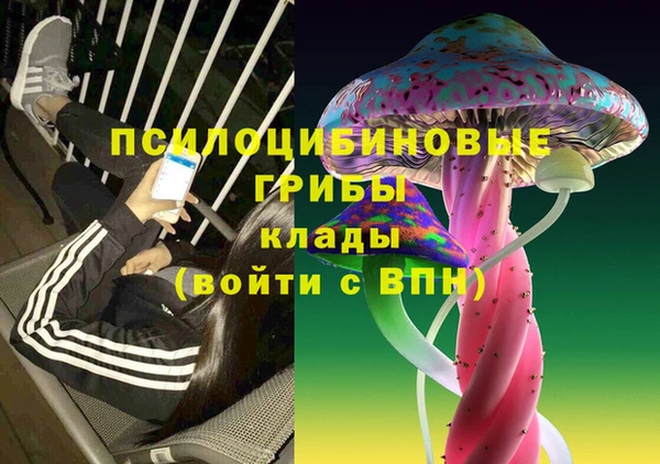 крисы Алексеевка
